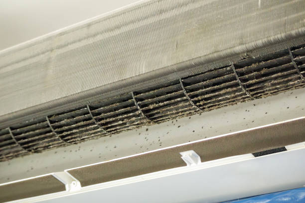 Best Commercial Air Duct Cleaning  in West Milton, OH